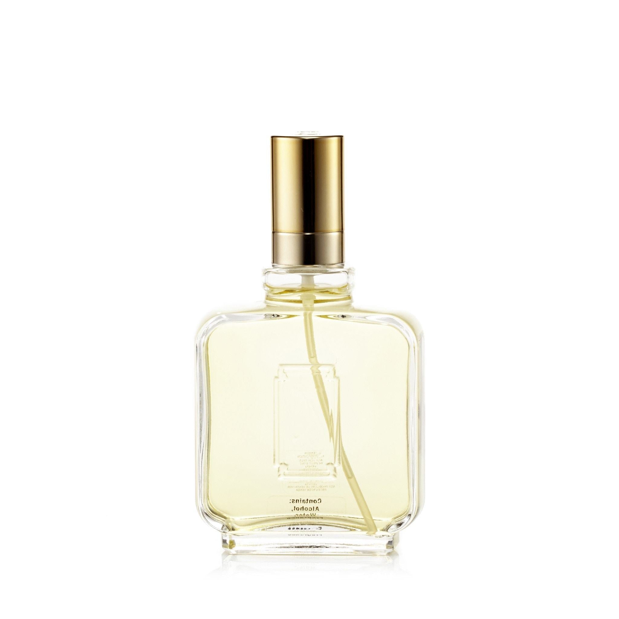 Paul Sebastian Eau de Toilette für Herren, 100 ml
