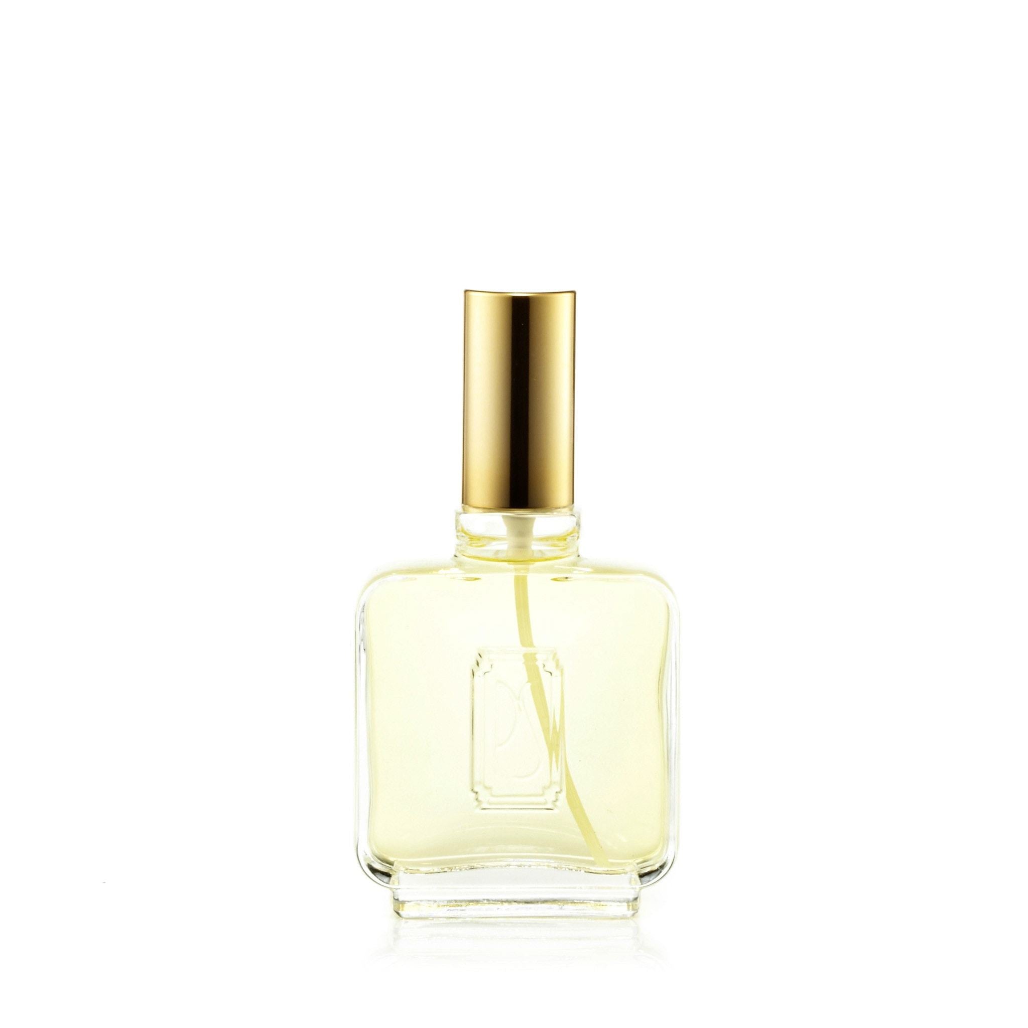 Paul Sebastian Eau de Toilette für Herren, 100 ml