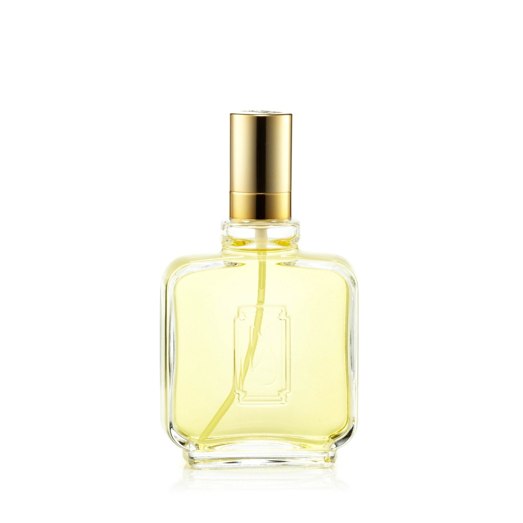 Paul Sebastian Eau de Toilette für Herren, 100 ml